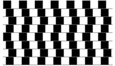 Optical Illusion of parallel lines in a grid