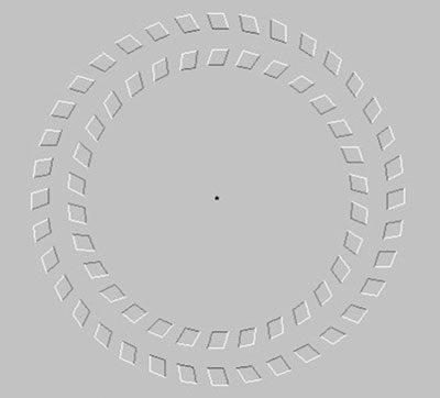 Optical illusion circle in middle moving