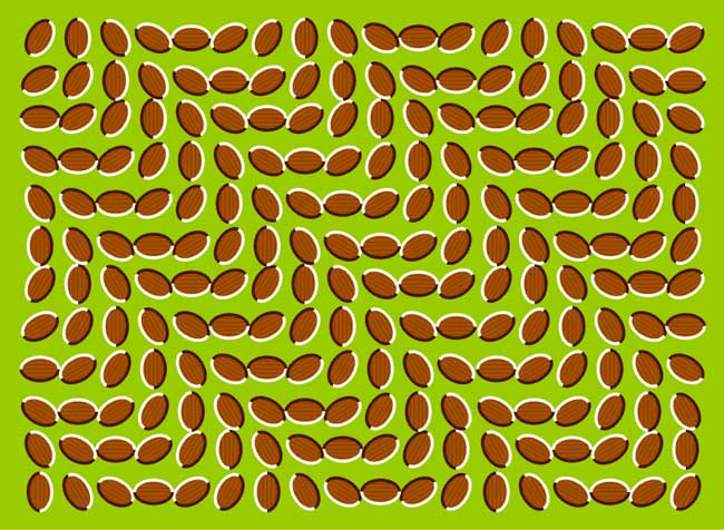 Free moving picture stress test